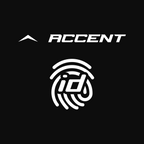 Custom Accent Hockey Stick